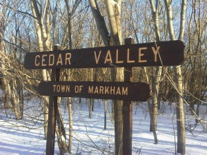 Cedar Valley Park Sign Markham Real Estate Blog