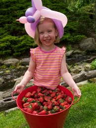 Girl holding bucket of strawberries