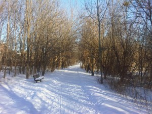 Cedar Valley Park Walking Trail in Raymerville Markham Real Estate Blog
