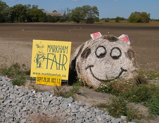 Haystack Markham Fair