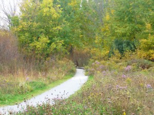 Walking Trail in Wismer Markham Real Estate