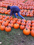 Forsythe Family Farm