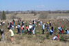 Planting Trees in Rouge Valley